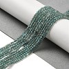 Natural Apatite Beads Strands G-B074-B09-01-2