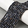 Natural Sapphire Beads Strands G-G259-D06-4mm-1