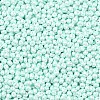 6/0 Glass Seed Beads X1-SEED-L011-08A-14-3