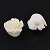 Resin Beads X-RESI-B3455-A01-2