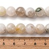 Natural White Moonstone Beads Strands G-I388-01-10mm-4