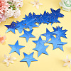Paper Star Shape Flags FEPA-TAC0001-002-5