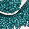 Baking Paint Pearlized Glass Seed Beads SEED-C001-04A-05-1