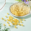 Resin Beads RESI-TAC0026-20B-5