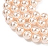 Electroplated Shell Pearl Beads Strands BSHE-G041-10mm-04-3
