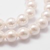 Rainbow Plated Shell Pearl Bead Strands X-BSHE-L025-02-6mm-3