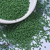 MIYUKI Round Rocailles Beads SEED-JP0008-RR0431-1