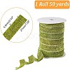 Sparkle Polyester Ribbon OCOR-WH0082-158A-02-2
