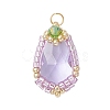 Glass Pendants PALLOY-MZ00961-02-1