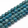 Natural Apatite Beads Strands G-R446-10mm-11-1