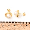 Round Brass Micro Pave Clear Cubic Zirconia Stud Earrings EJEW-C154-09G-5
