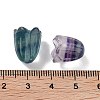 Natural Fluorite Beads G-A222-03F-3