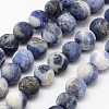 Natural Sodalite Beads Strands G-D691-6mm-1