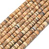 Natural Picture Jasper Beads Strands G-P575-B30-6x1mm-2