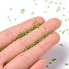 FGB 360G 18 Colors 12/0 Grade A Round Glass Seed Beads SEED-JP0012-14-2mm-3