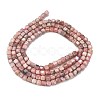 Natural Argentina Rhodonite Beads Strands G-Z057-A01-01-5