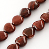 Natural Red Jasper Beads Strands G-R190-20mm-15-1