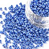 8/0 Glass Seed Beads SEED-A012-3mm-123B-1