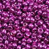 6/0 Glass Seed Beads E06900B4-1