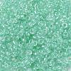 12/0 Glass Seed Beads X-SEED-A015-2mm-2219-2