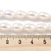 Natural Cultured Freshwater Pearl Beads Strands PEAR-P062-10F-5