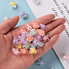 Transparent Acrylic Beads TACR-S152-02A-5