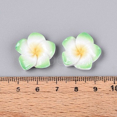 Plumeria Flower Opaque Resin Cabochons CRES-T025-30G-02-1