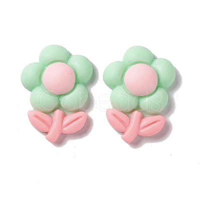 Spray Painted Resin Cabochons RESI-G031-15-1