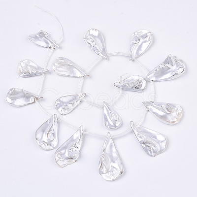 Spray Painted Natural Freshwater Shell Beads Strands SHEL-S276-69C-1