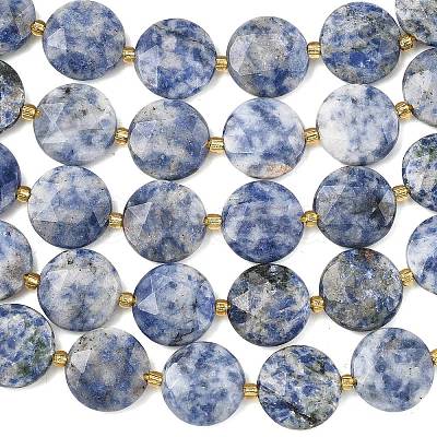 Natural Blue Spot Jasper Beads Strands G-A292-A10-01-1