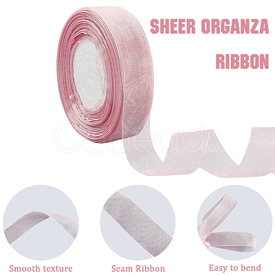 1 Rolls Sheer Organza Ribbon SRIB-CY0001-22A-02-1