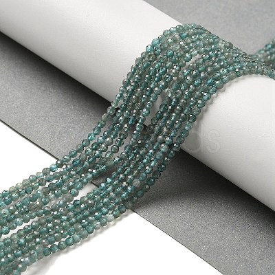 Natural Apatite Beads Strands G-B074-B09-01-1