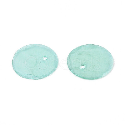 Spray Painted Natural Capiz Shell Disc Charms BSHE-T014-02D-1