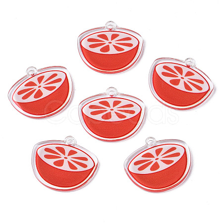 Translucent Acrylic Pendants TACR-N013-006-1