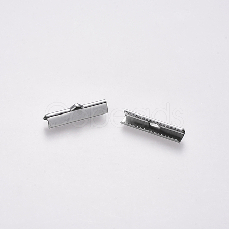 Non-Tarnish 304 Stainless Steel Ribbon Crimp Ends STAS-S112-001G-P-1