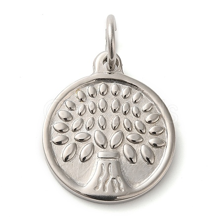 Non-Tarnish 304 Stainless Steel Pendants STAS-C086-07P-1