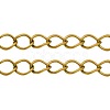 Iron Side Twisted Chains CH-S088-G-LF-1