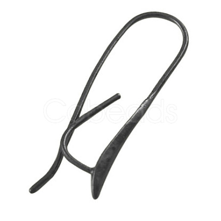 Brass Earring Hooks EC3019Y-B-1