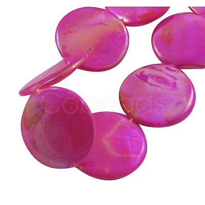 Handmade Natural Shell Beads Strands PBB-XXBK199Y-DD-1