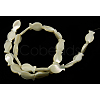 Natural White Shell Beads Strands SSHEL-18X10-2