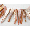Natural Shell Beads Strands YPBB033-1