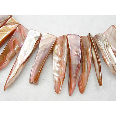 Natural Shell Beads Strands YPBB033-1