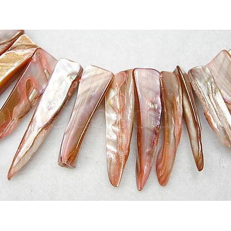 Natural Shell Beads Strands YPBB033-1
