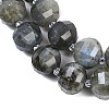 Natural Labradorite Beads Strands G-G182-B02-07-4