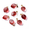 Two Tone Transparent Spray Painted Glass Pendants GLAA-N035-014-G04-1