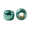 TOHO 11/0 Round Beads SEED-XTR11-PF0561-3