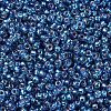 MIYUKI Round Rocailles Beads X-SEED-G007-RR1025-3