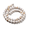 Synthetic Turquoise and Sea Shell Assembled Beads Strands G-D482-01C-05-3