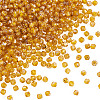 Picasso Baking Paint Glass Seed Beads SEED-TA0001-62B-2
