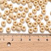TOHO 3/0 Round Beads SEED-TR03-0051-3